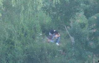 国产树林野战在线播放,热血激战,在线热血沸腾 第2张 国产树林野战在线播放,热血激战,在线热血沸腾 第2张