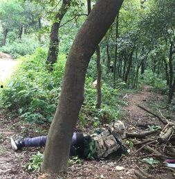 国产树林野战在线播放,热血激战,在线热血沸腾 第3张 国产树林野战在线播放,热血激战,在线热血沸腾 第3张