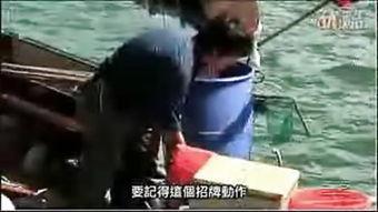 国产伊甸园,探寻东方梦幻乐园的奇幻之旅  第3张